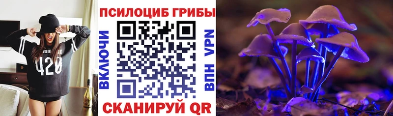 цена наркотик  Кулебаки  Псилоцибиновые грибы MAGIC MUSHROOMS 