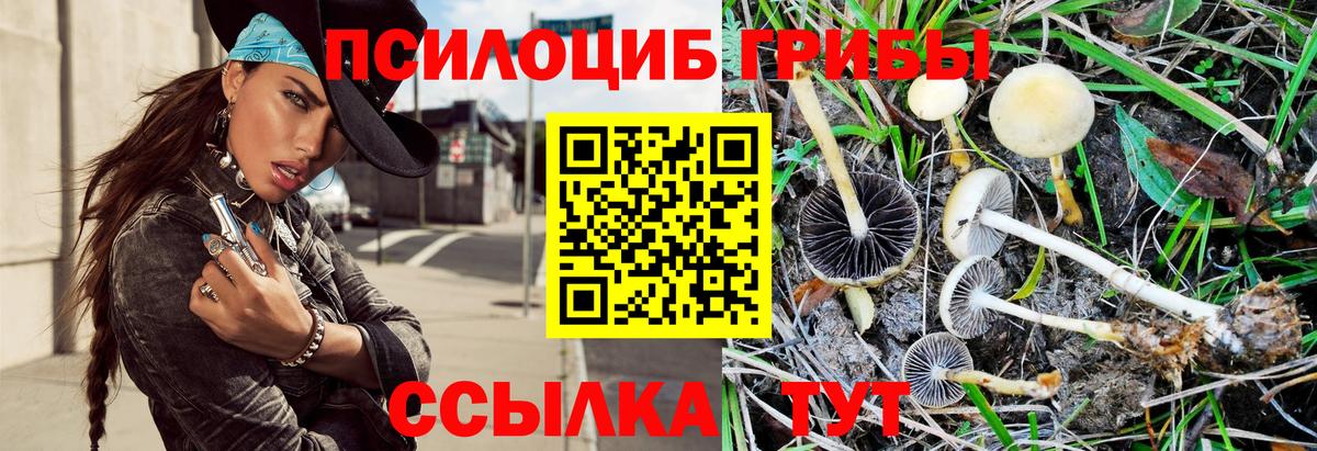 Галлюциногенные грибы GOLDEN TEACHER Кулебаки