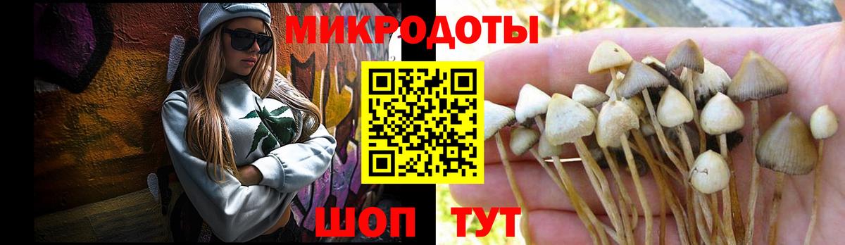 Псилоцибиновые грибы мицелий  дарнет шоп  Кулебаки  Галлюциногенные грибы прущие грибы  Вход с VPN 